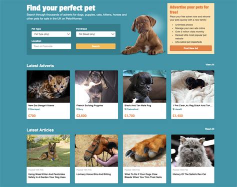 pets4homr|pets 4 home uk website.